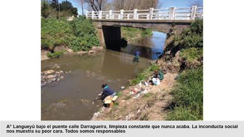 Langueyú: ¿oportunidad o maldición? 